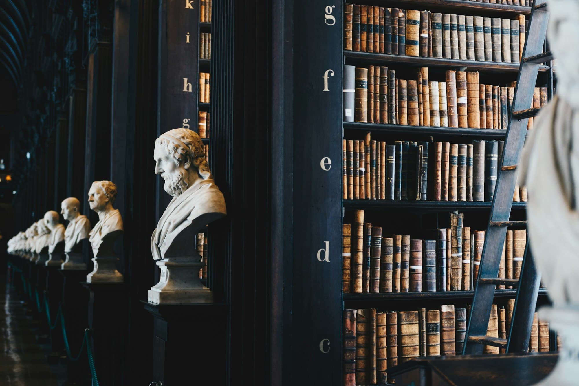 Biblioteca antigua con bustos de mármol